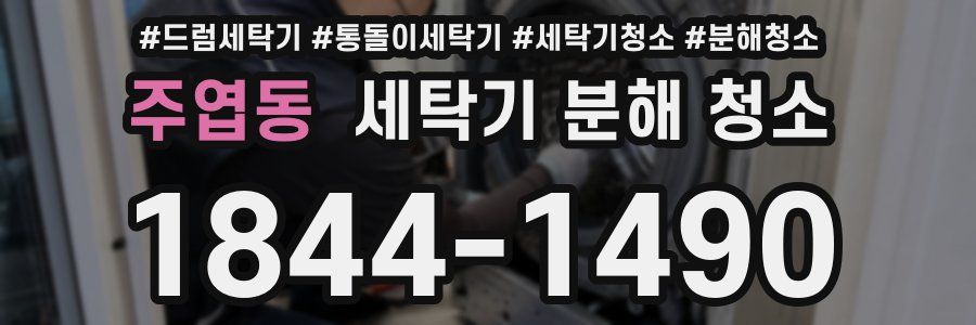 주엽동 세탁기 분해 청소