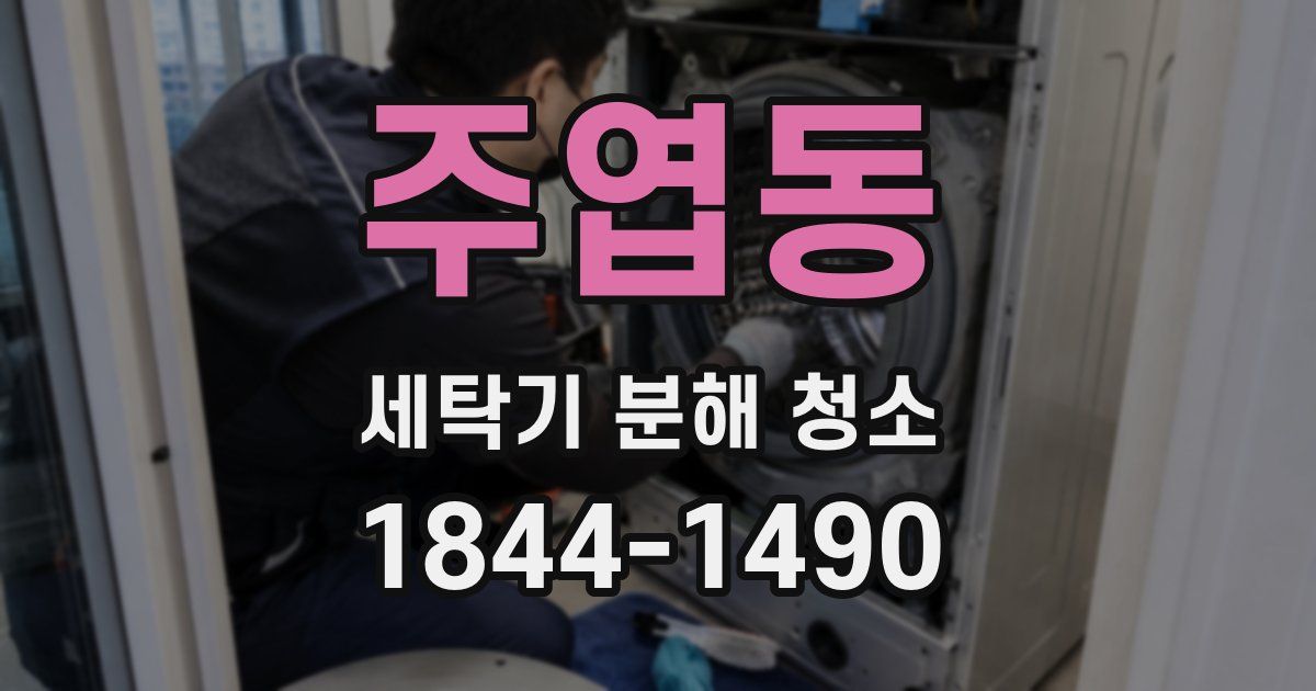 주엽동 세탁기 분해 청소