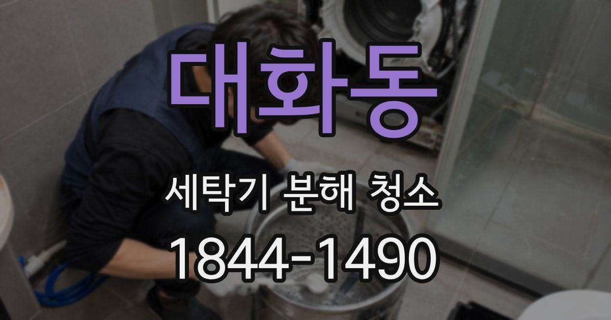 대화동 세탁기 분해 청소