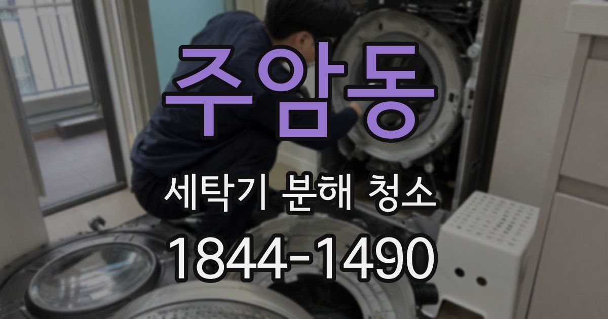 주암동 세탁기 분해 청소