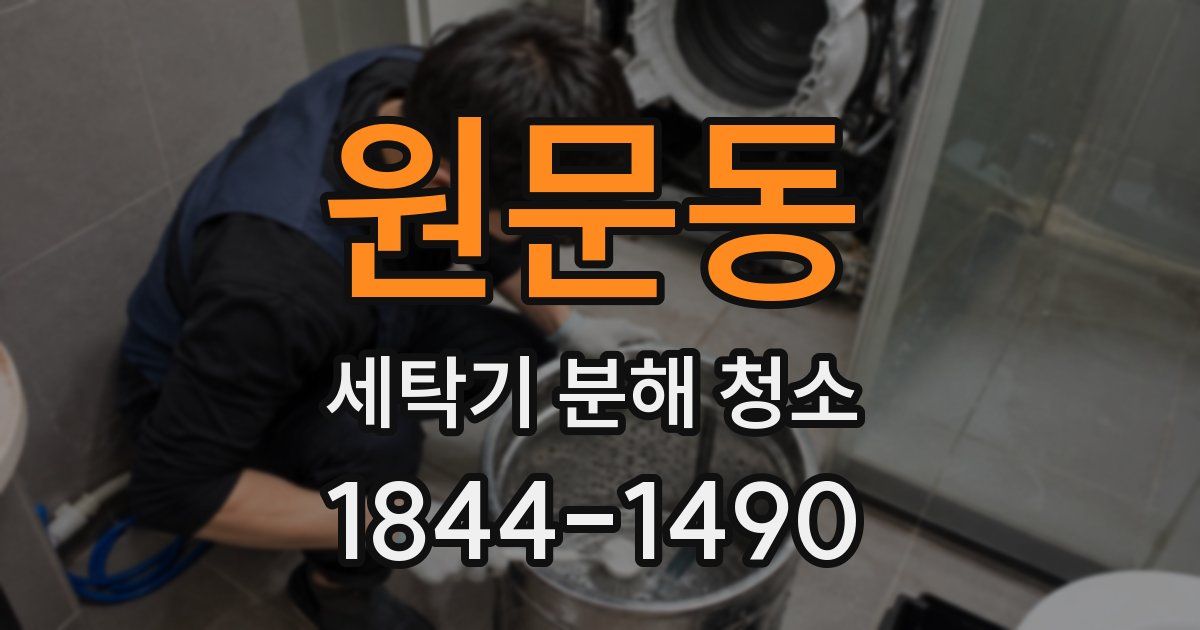 원문동 세탁기 분해 청소