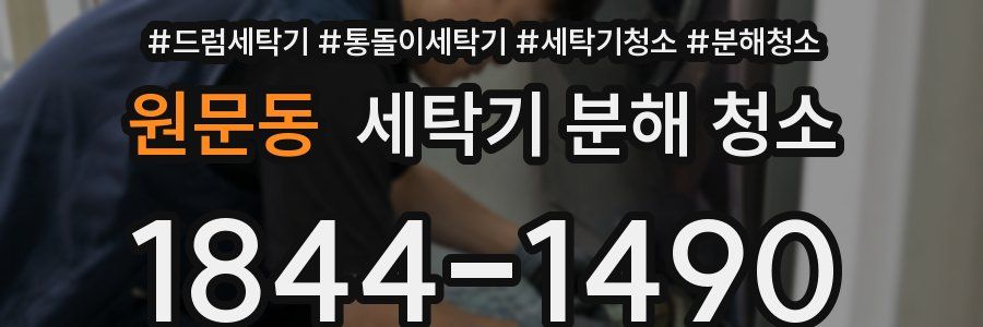 원문동 세탁기 분해 청소