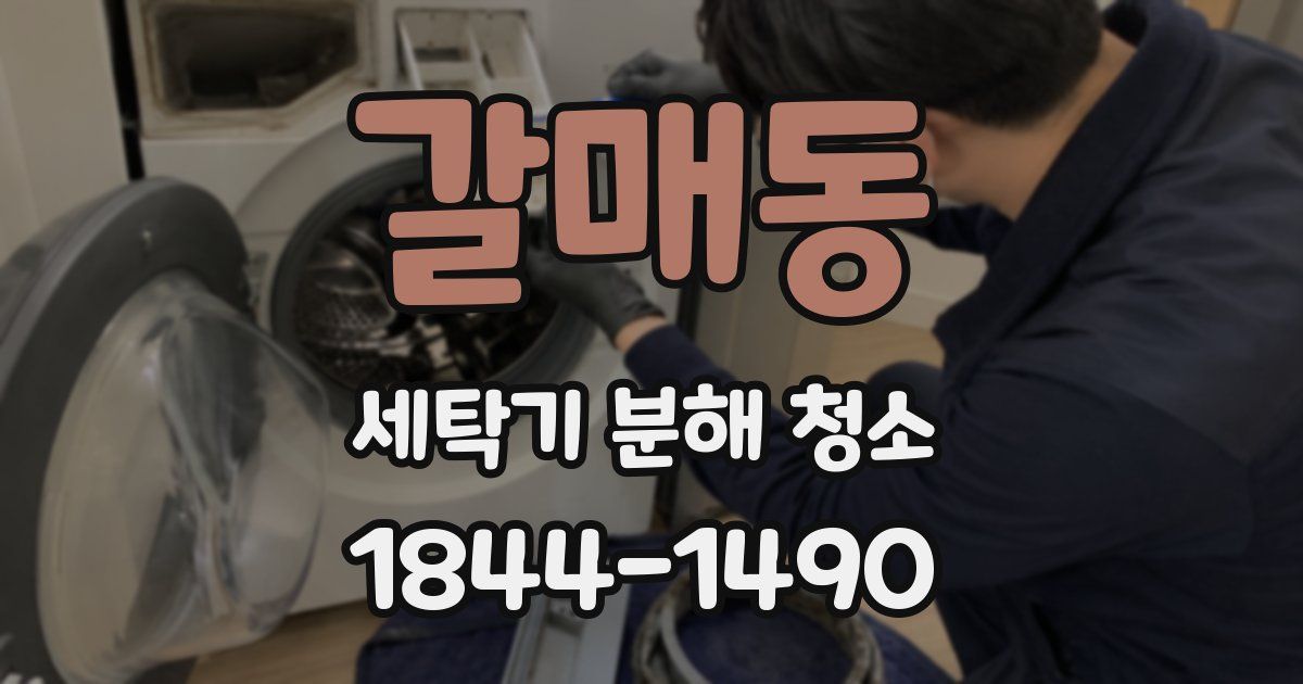 갈매동 세탁기 분해 청소