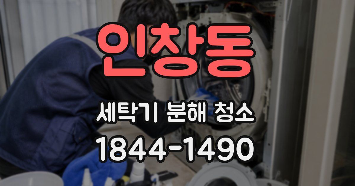 인창동 세탁기 분해 청소