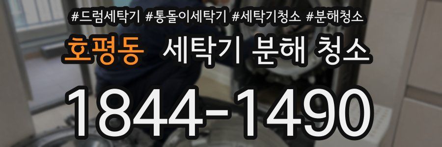 호평동 세탁기 분해 청소