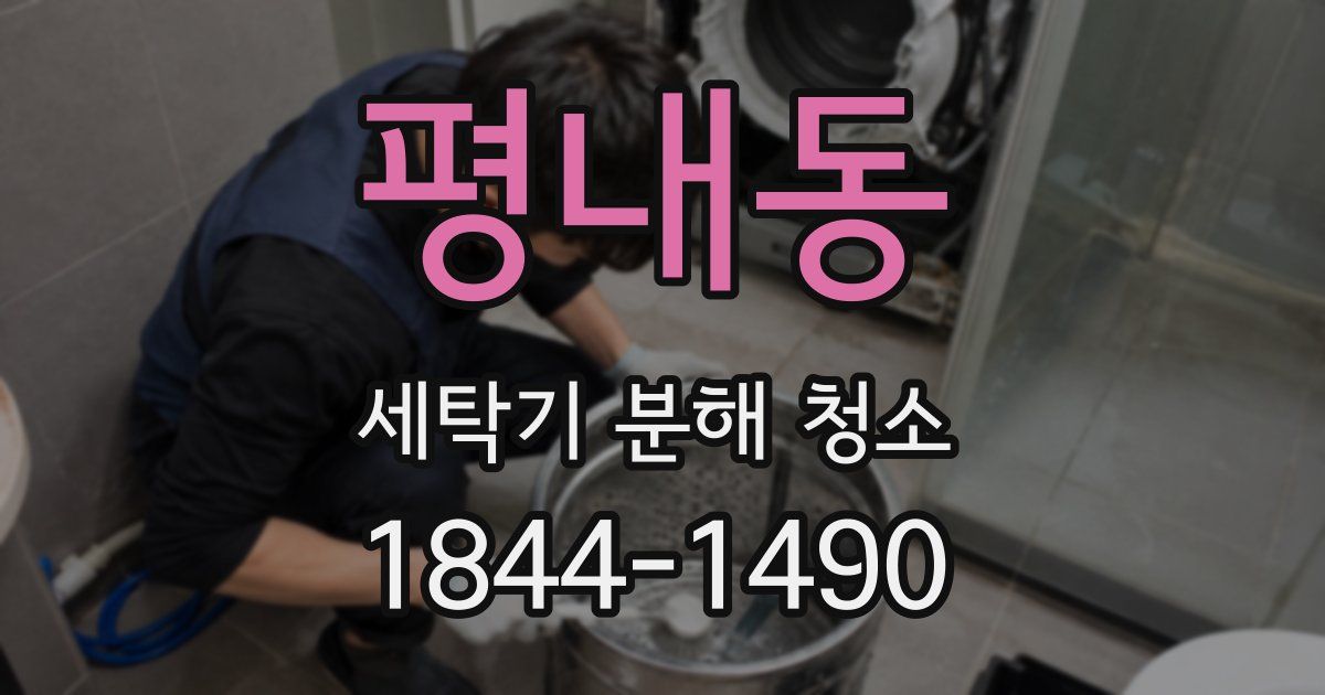평내동 세탁기 분해 청소