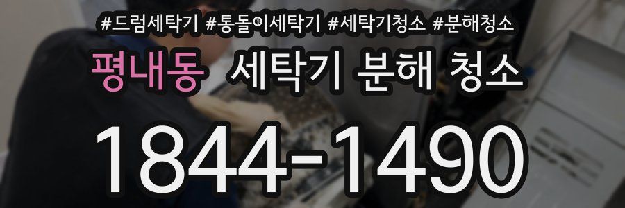 평내동 세탁기 분해 청소