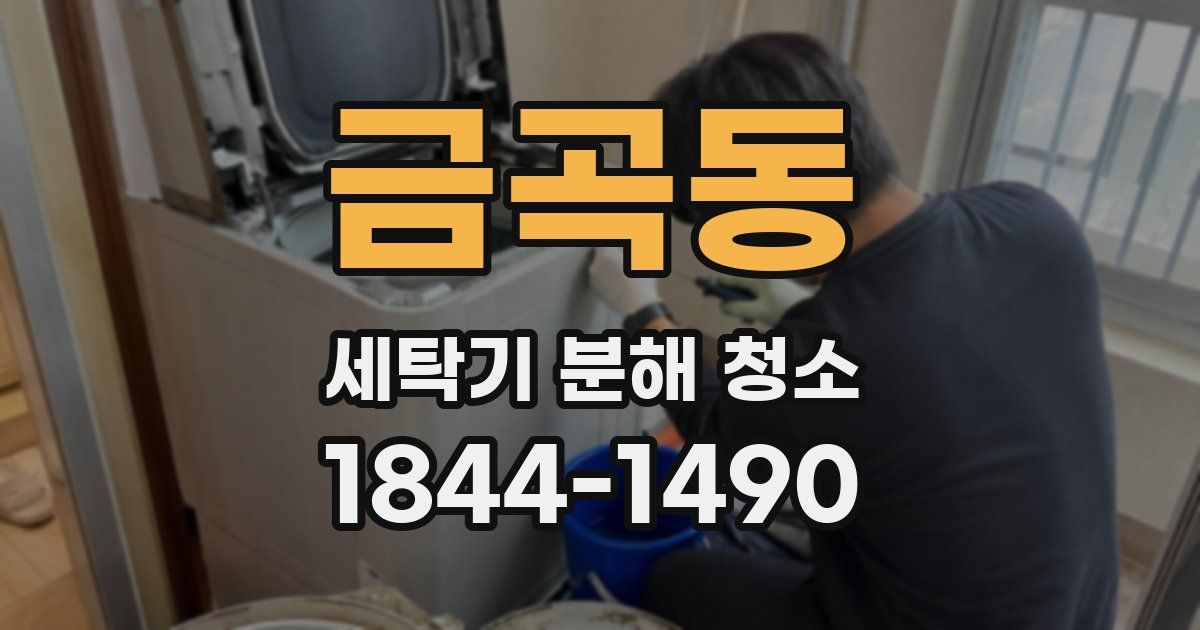 금곡동 세탁기 분해 청소