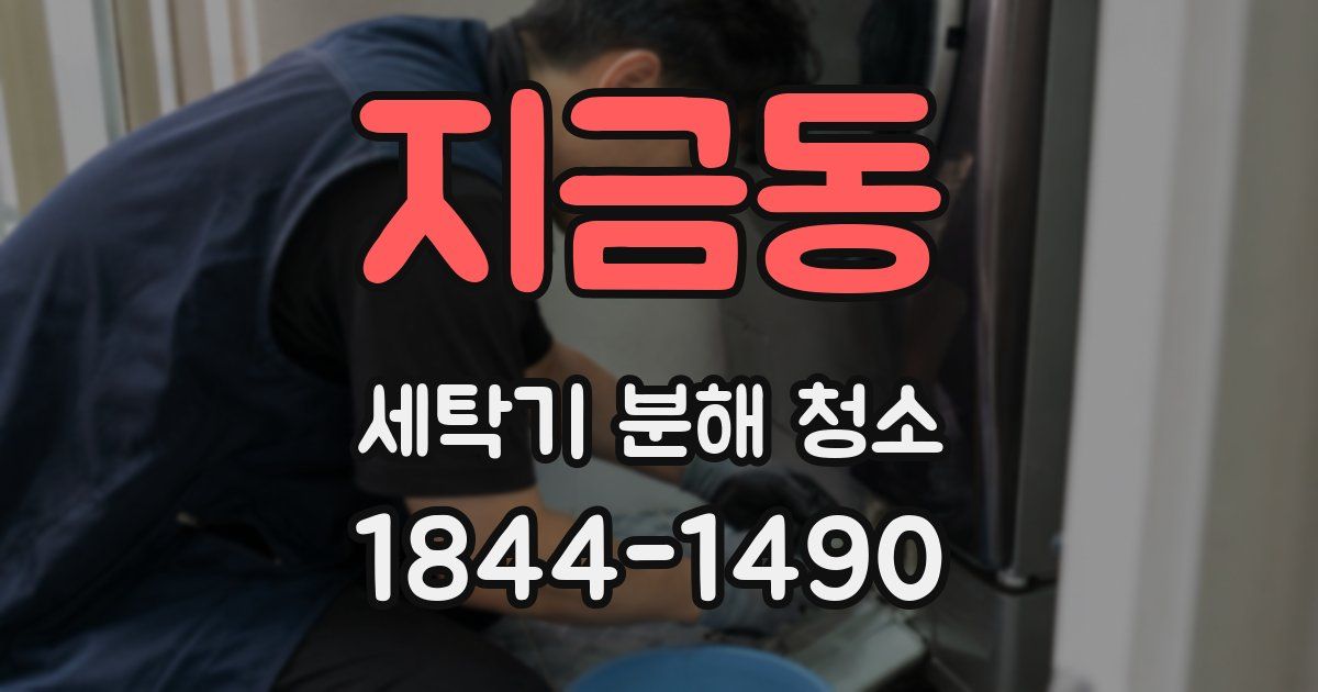 지금동 세탁기 분해 청소