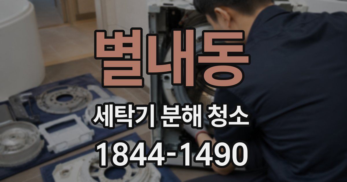 별내동 세탁기 분해 청소