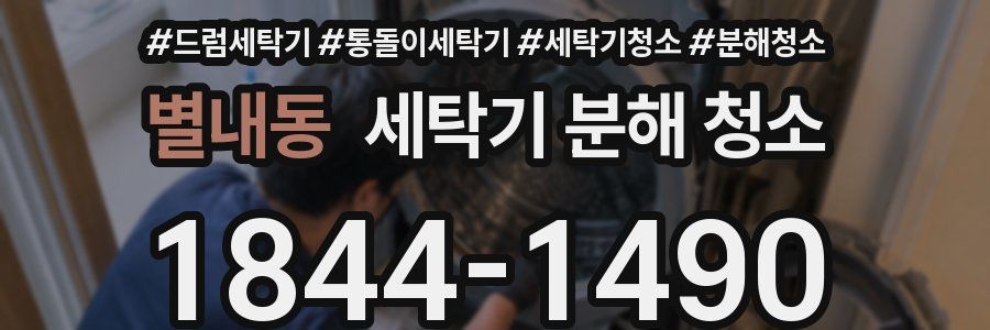 별내동 세탁기 분해 청소