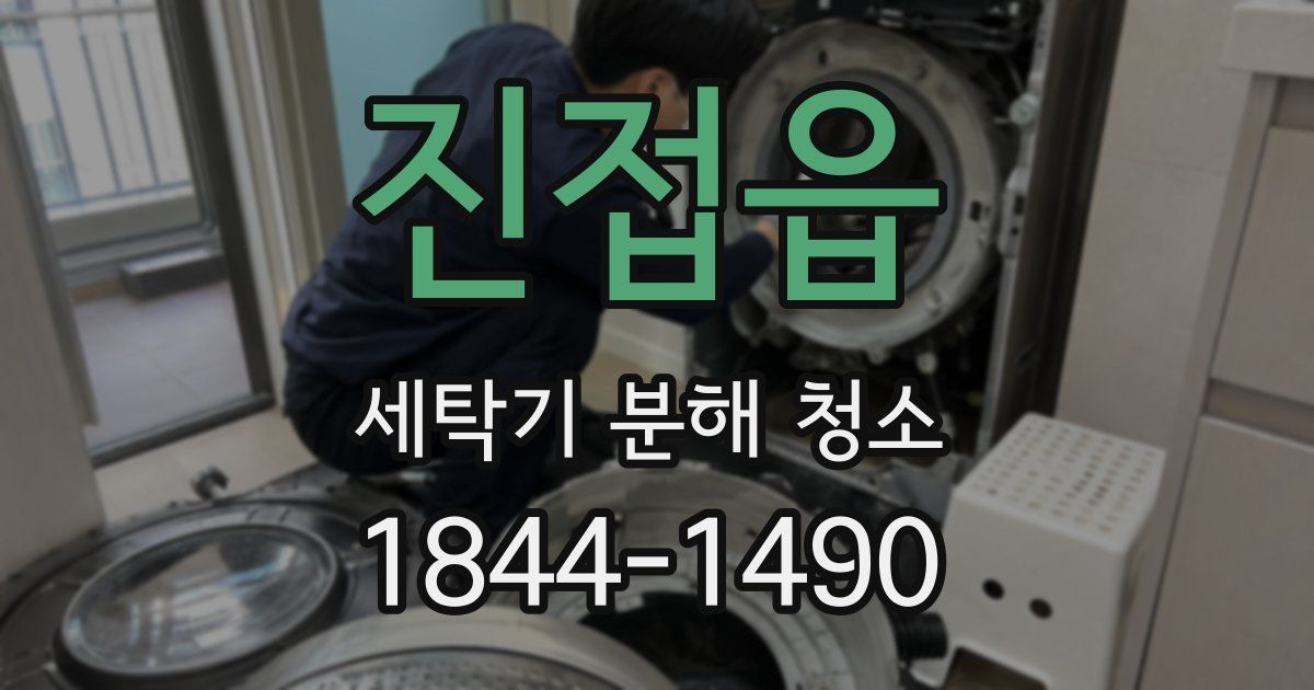 진접읍 세탁기 분해 청소