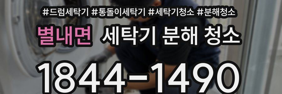 별내면 세탁기 분해 청소