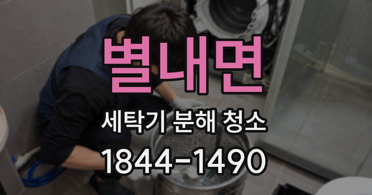 별내면 세탁기 분해 청소
