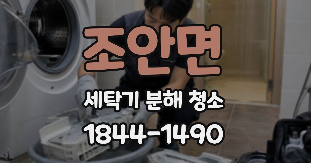 조안면 세탁기 분해 청소