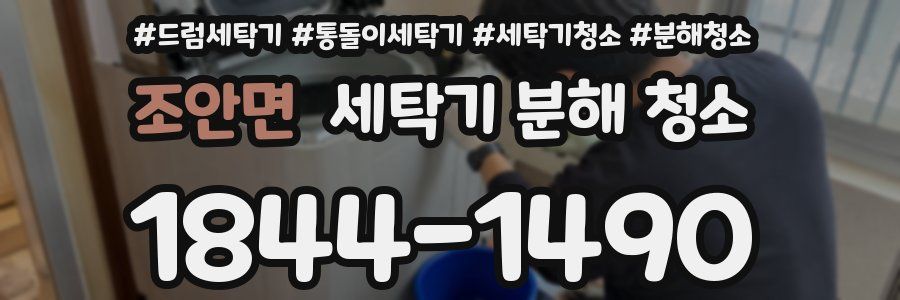 조안면 세탁기 분해 청소