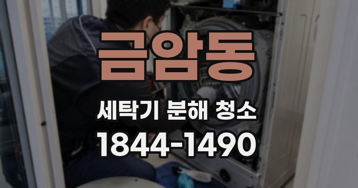 금암동 세탁기 분해 청소