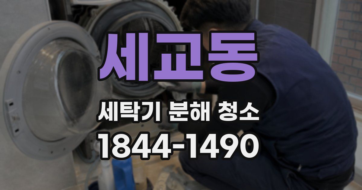 세교동 세탁기 분해 청소