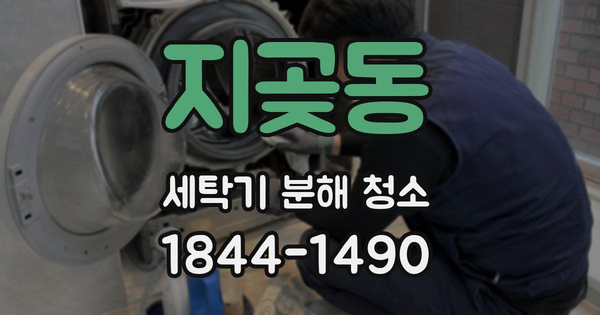 지곶동 세탁기 분해 청소
