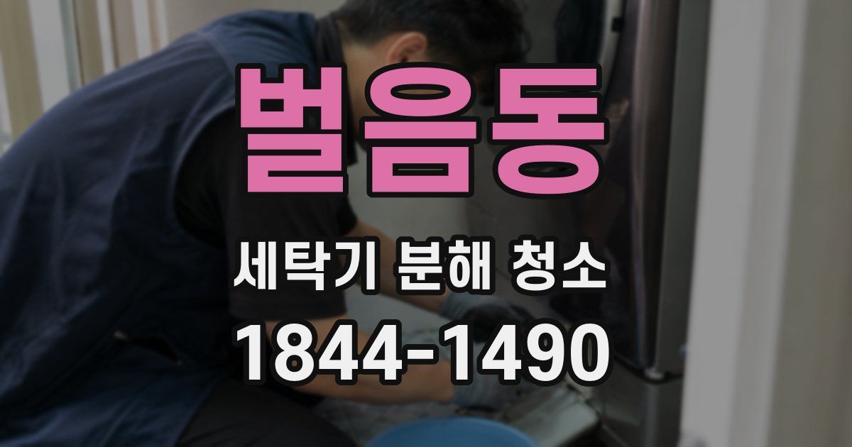 벌음동 세탁기 분해 청소