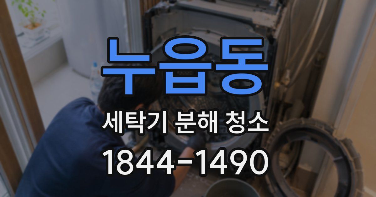 누읍동 세탁기 분해 청소