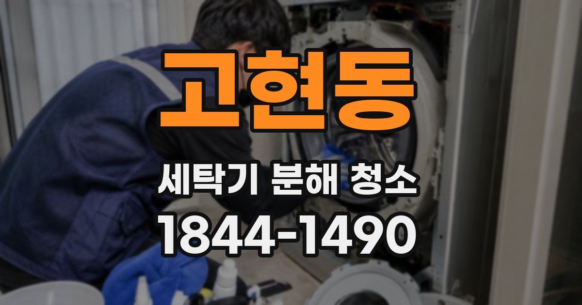 고현동 세탁기 분해 청소