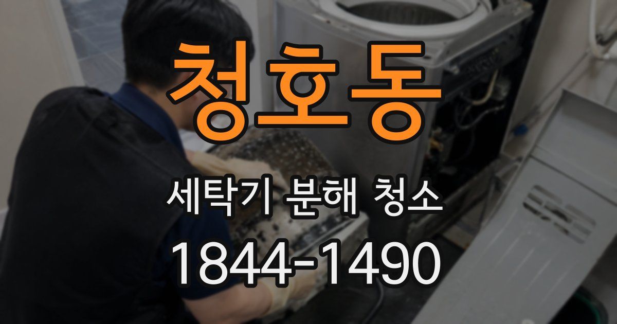 청호동 세탁기 분해 청소