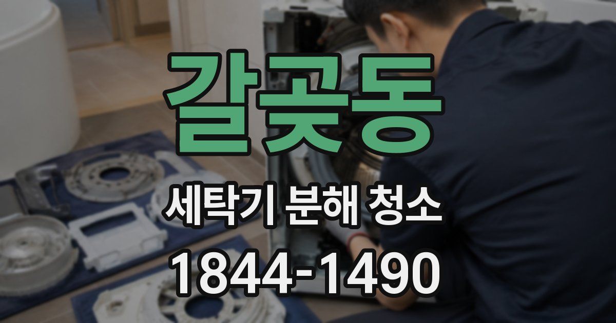 갈곶동 세탁기 분해 청소