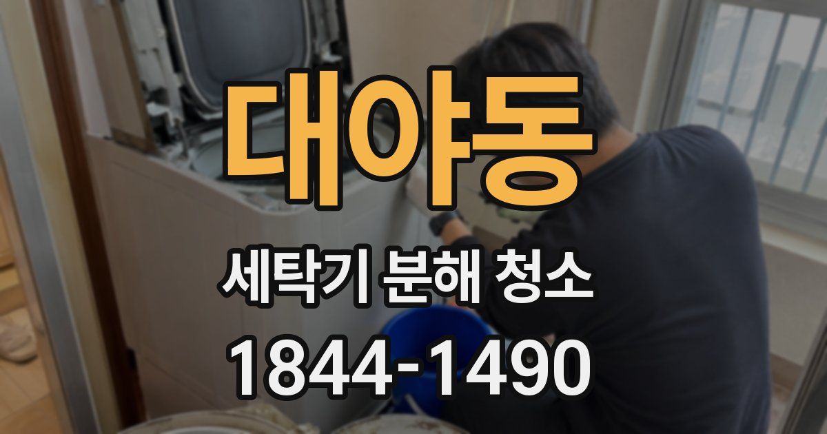 대야동 세탁기 분해 청소
