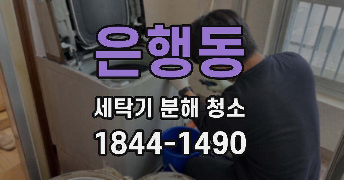 은행동 세탁기 분해 청소