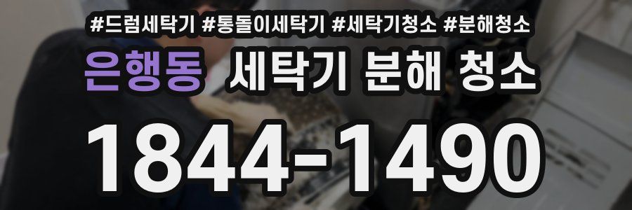은행동 세탁기 분해 청소