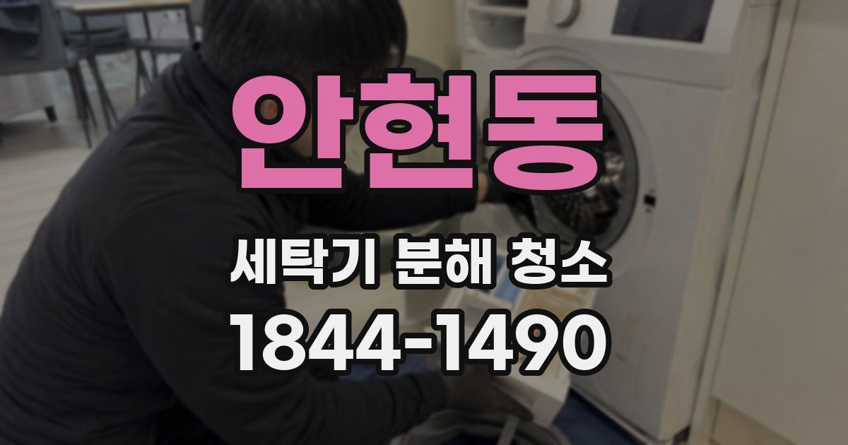 안현동 세탁기 분해 청소