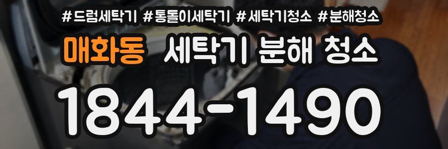 매화동 세탁기 분해 청소