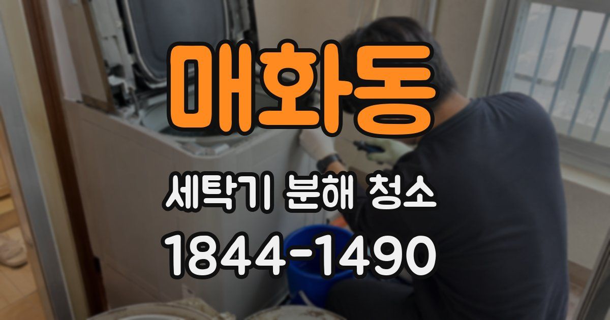 매화동 세탁기 분해 청소