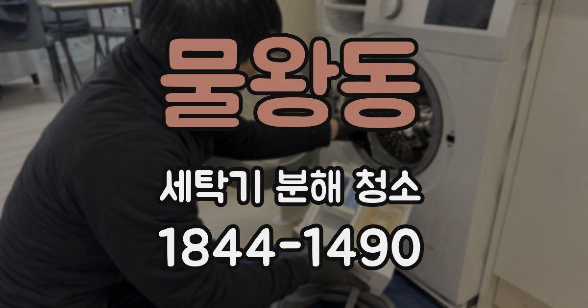 물왕동 세탁기 분해 청소