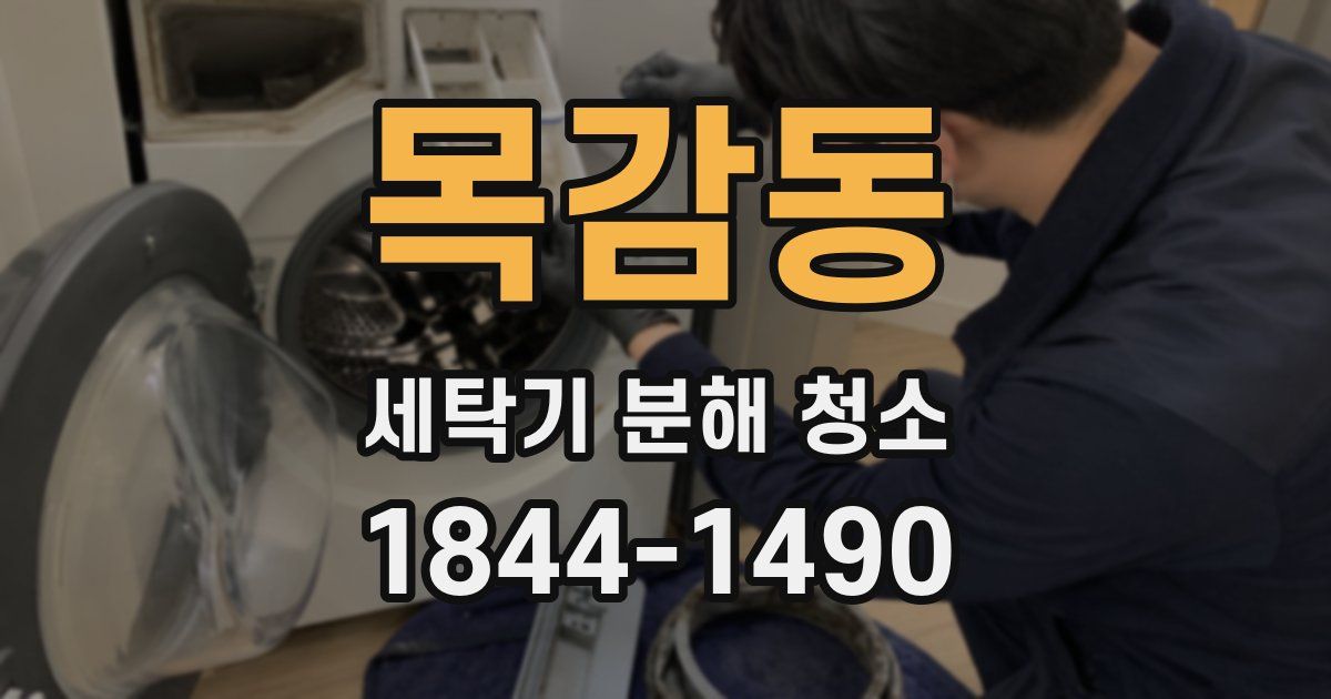 목감동 세탁기 분해 청소