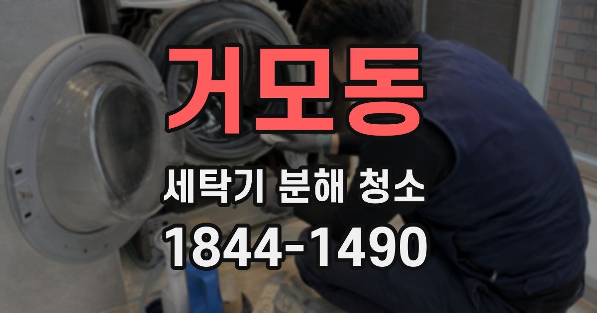 거모동 세탁기 분해 청소