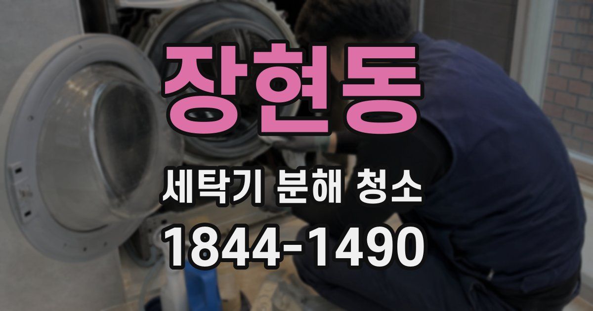장현동 세탁기 분해 청소