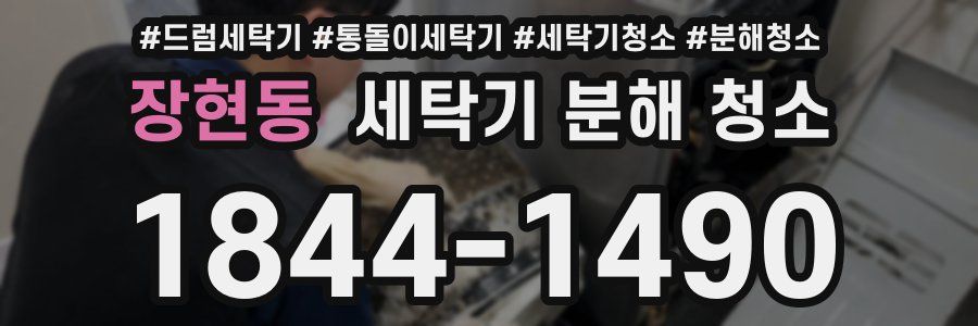 장현동 세탁기 분해 청소