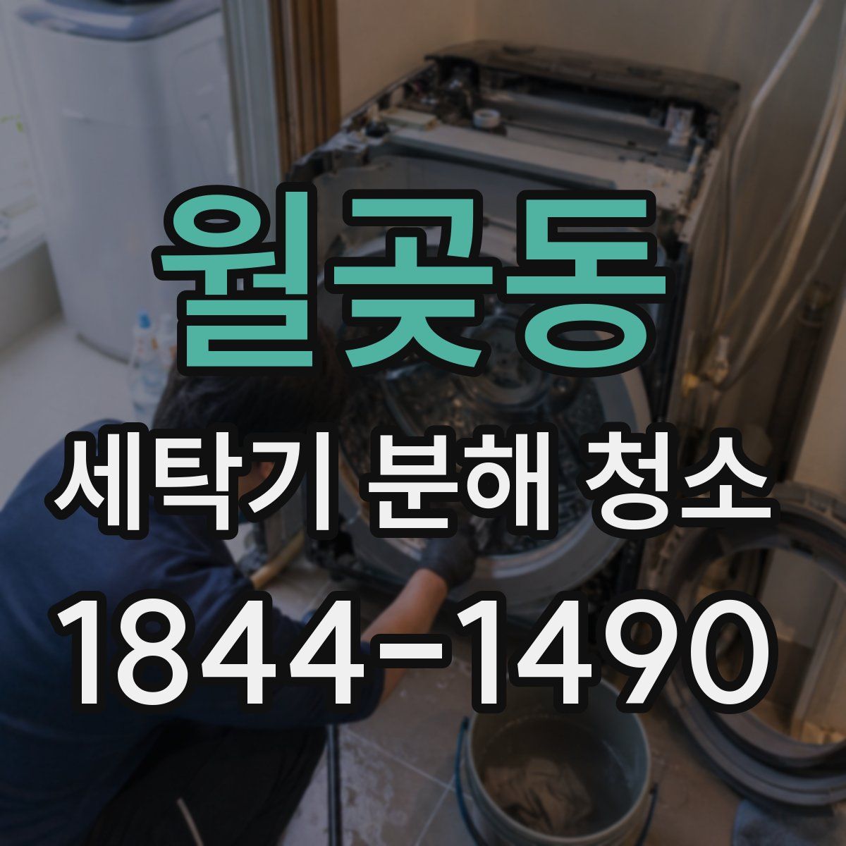 월곶동 세탁기 분해 청소