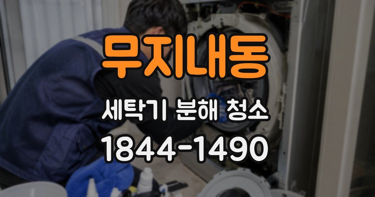 무지내동 세탁기 분해 청소