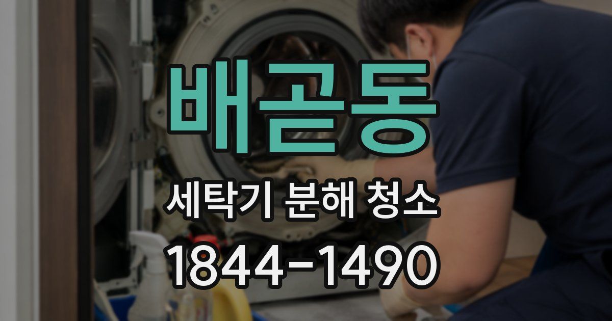 배곧동 세탁기 분해 청소