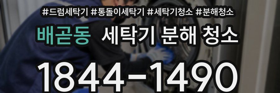 배곧동 세탁기 분해 청소
