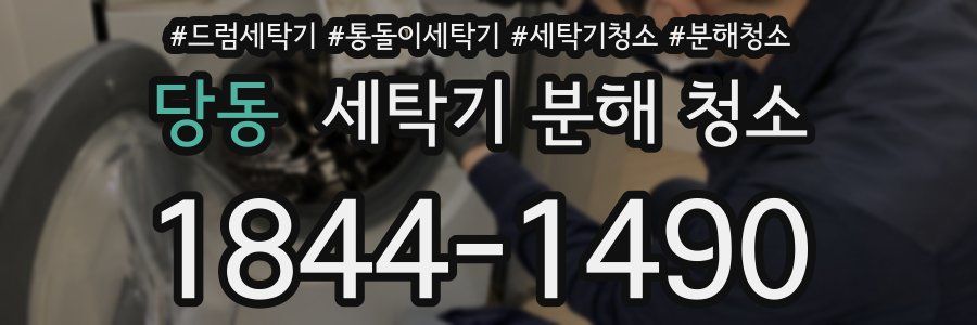 당동 세탁기 분해 청소
