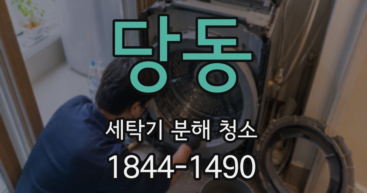 당동 세탁기 분해 청소