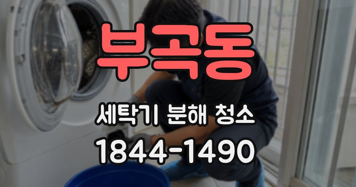 부곡동 세탁기 분해 청소