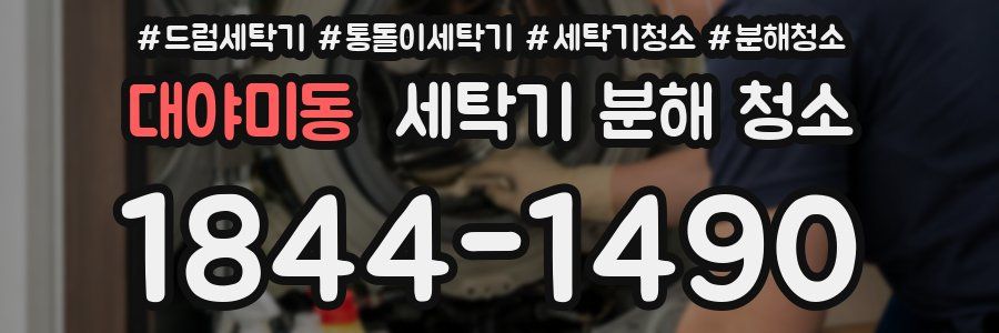 대야미동 세탁기 분해 청소