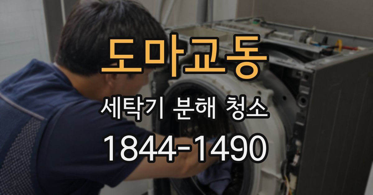 도마교동 세탁기 분해 청소