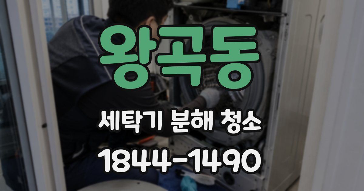 왕곡동 세탁기 분해 청소
