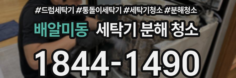 배알미동 세탁기 분해 청소